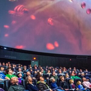 The audience in a planetarium look up at a screen with abstract colors on it.
